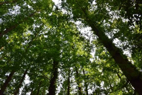 《江苏省适应气候变化行动方案》发布，预计2025年正式启动气候适应型试点城市建设！