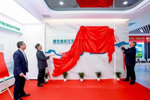 湖北省长江生态环保产业技术研究院正式投运