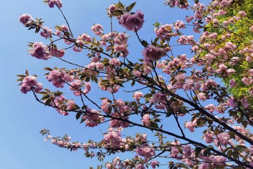 实施绿色装备推广行动 《河北省加快制造业技术改造升级行动方案》政策解读