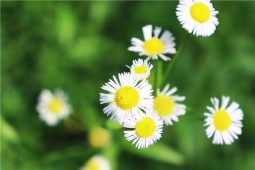 生态环境部出席第六届中新环境政策对话会和2024年新加坡清洁环境峰会与国际水周