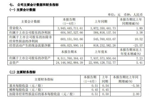 洪城环境发布《2024年半年度报告》：营业收入39.45亿元