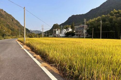 浙江核定64个垃圾焚烧发电项目2024年1-3月垃圾发电上网电量