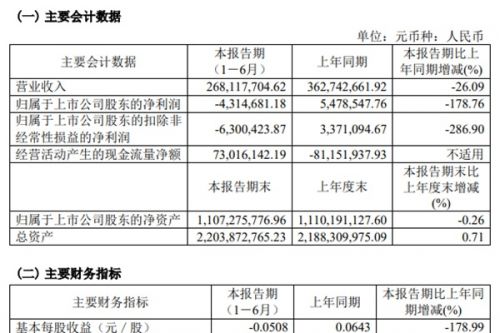 万德斯环保2024年上半年营收2.68亿，归母净利润下滑178.76%