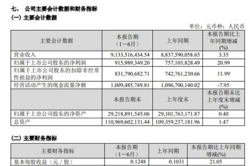 首创环保2024年上半年营收破90亿，利润增长近21%