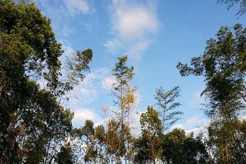 《孝感市空气质量持续改善行动方案》印发
