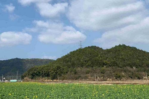 《茂名市“三线一单”生态环境分区管控方案（修订）》印发