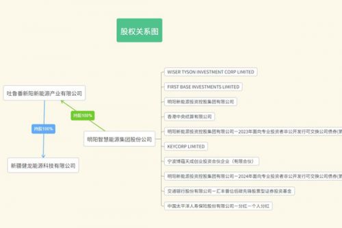 新疆再添一家新能源企业 背后有外商身影