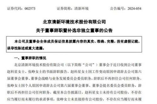 清新环境董事辞职