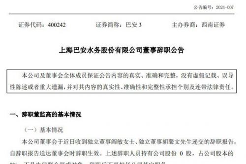 巴安水务董事辞职