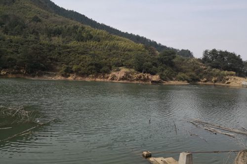 11月1日起实施 《山东省推动入河排污口设置审批与建设项目环境影响评价审批联动办理工作方案(试行)》发布