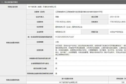 中广核和清(南昌)环境科技有限公司100%股权转让，底价7700万