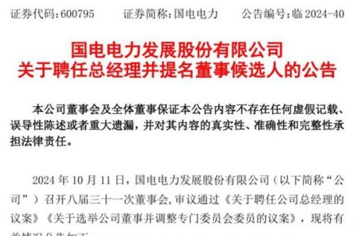 国电电力总经理任职