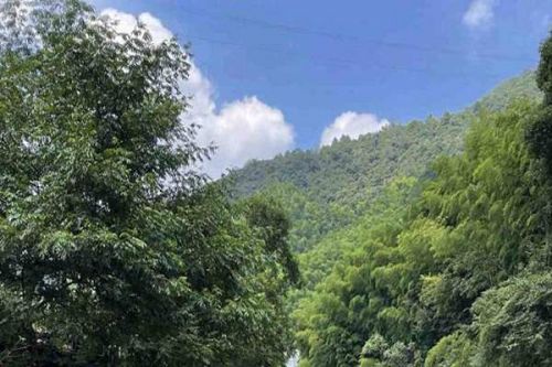 中共河南省委 河南省人民政府关于全面推进美丽河南建设的实施意见