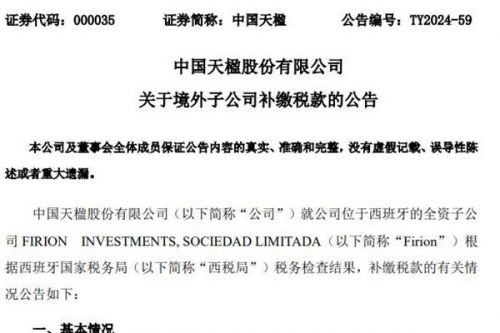 中国天楹境外子公司补缴1.86亿税款
