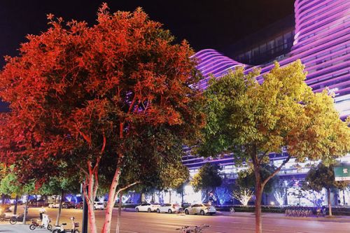 揭西县生活垃圾环保处理中心项目顺利通过“72＋24”小时试运行