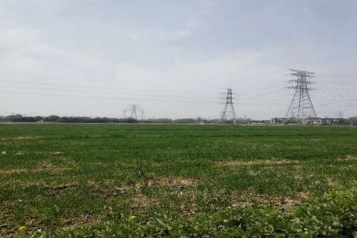 农业农村部专题研究部署推进第三次全国土壤普查工作！