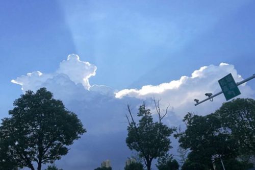 空气质量反弹问题凸显！中央生态环境保护督察集中通报典型案例