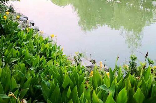 中国水务、中水禹投、大禹节水联合体中标湖南岳阳高标准农田施工总承包＋综合运营建设项目