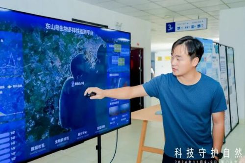 华为：科技守护自然，AI助力东山珊瑚保护