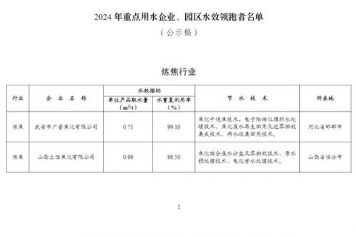 2024年重点用水企业、园区水效领跑者名单公示