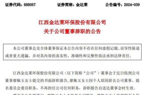 金达莱董事辞职