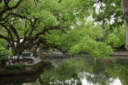 水质攻坚丨漳州鹿溪流域整治，补齐国控断面水质短板