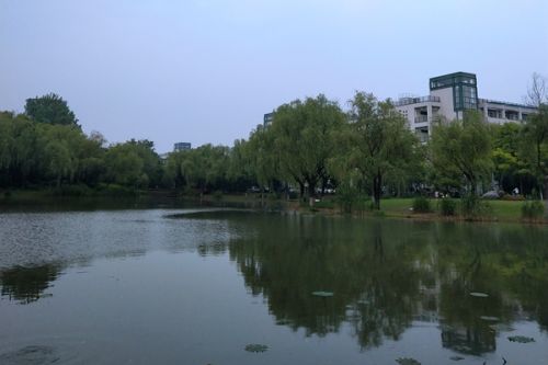 1.4亿！湖北十堰市竹山县堵河流域水环境综合治理工程二期招标