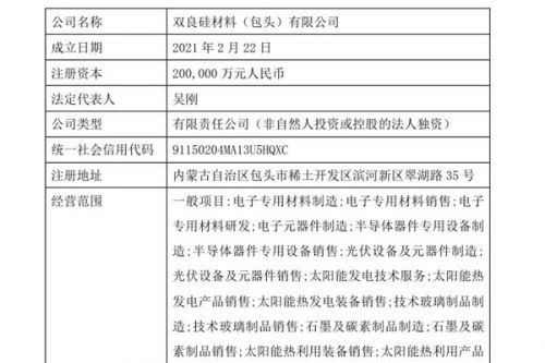 加码硅材料 双良节能：向全资孙公司增资13亿
