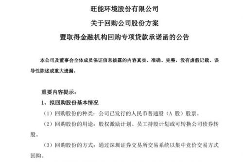 不超过2亿，旺能环境拟回购公司股份