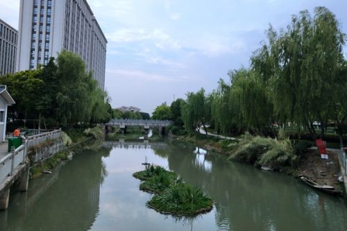 2.36亿预算！成都市锦江区2025-2027年环卫保洁、环卫公厕、绿化和河道管护一体化服务项目招标