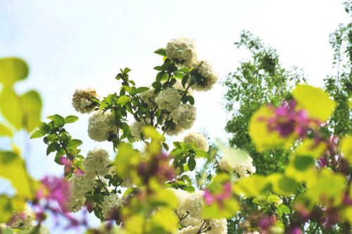 江苏以监测前瞻性研究，助力监测现代化发展