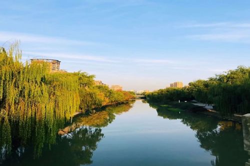 张辰：城市更新背景下的水务可持续发展