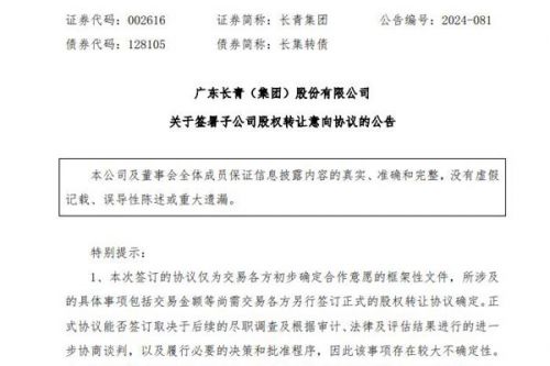 长青集团拟转让全资环保能源公司100%股权，实现间接化债