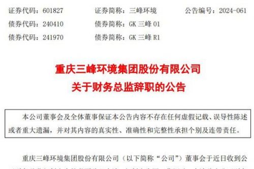 三峰环境财务总监辞职