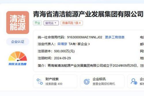注资50亿元！又一省级清洁能源集团成立