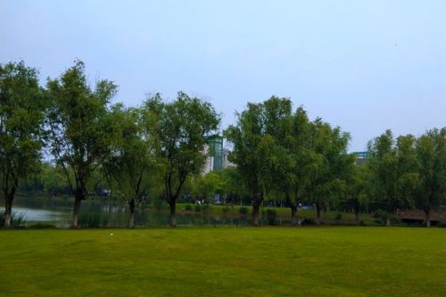洛阳市孟津区北区建城区外包市政、环卫和园林管护服务项目招标