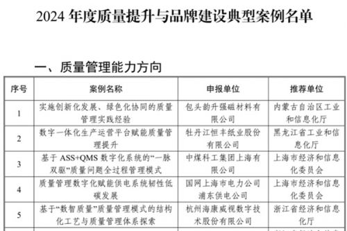 100个，《2024年度质量提升与品牌建设典型案例名单》发布 晶科能源、蔚来等上榜