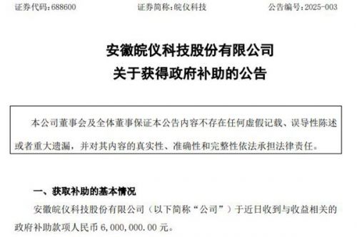 皖仪科技：收到政府补助款项600万元