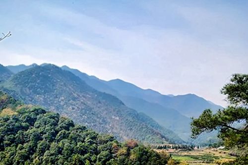湖北省自然资源厅全面开展绿色矿山建设 加快推动矿业转型发展