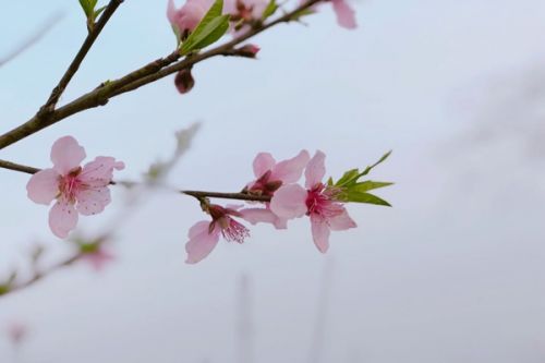 《江苏省碳达峰碳中和试点 (苏州浒墅关经济技术开发区)建设方案》印发