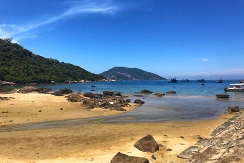 3月24-26日，日照开启棒线材“硬核”革新之旅
