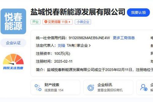 100万！又一国企成立新能源公司