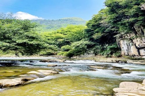 近15亿 开平市新桥水水环境综合整治与绿色产业融合发展(EOD)项目招标