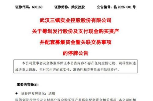 曲线上市？武汉控股购买武汉市政院100%股权