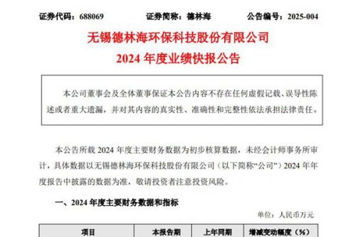 德林海：2024年营业收入同比上涨，但归母净利润亏损进一步扩大