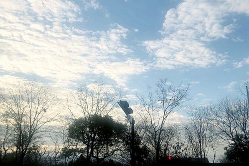 科士达荣耀入选深圳市2024年认定绿色低碳产业企业名单