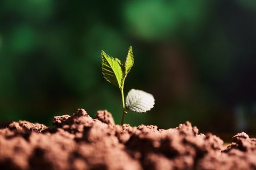 世界地球日| 珍爱地球，人与自然和谐共生