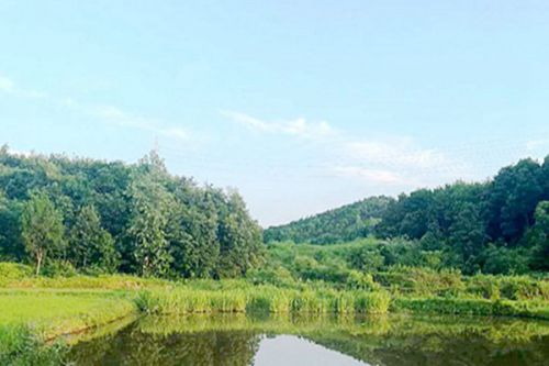 山东省关于进一步推进农村生活污水资源化利用的指导意见