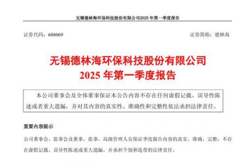 德林海：2025年第一季度营业收入同比增长21.36%，净利润亏损