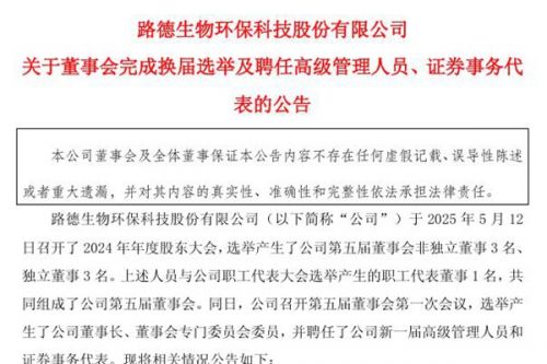 路德环境：董事会完成换届选举，季光明先生担任公司董事长